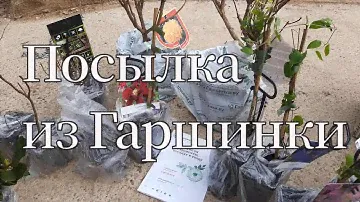 Обзор посылки из Гаршинки.